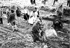 Programas de combate a la pobreza