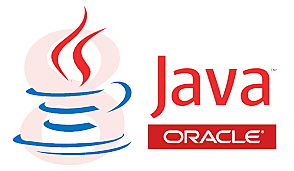 La versión 6 de Java y su buena reputación.