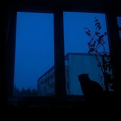 Timeline: Historia - EJE 7, CAP 2 (Bauhaus)