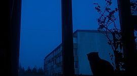 Timeline: Historia - EJE 7, CAP 2 (Bauhaus)