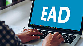 Timeline: Relatório de História