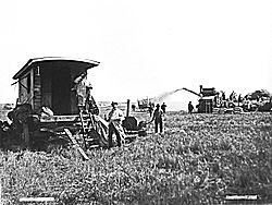 Naturalismo en Argentina