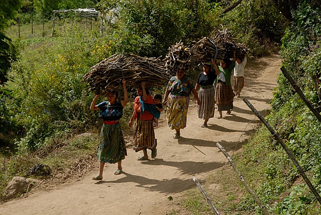 La población indígena disminuye