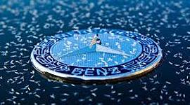 Timeline: Gerencia de marca.