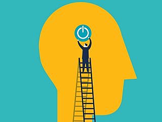 Green se renombro Firts Person