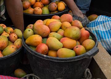Inicio de exportación de productos no tradicionales