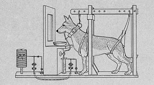 Enfoque Psicodinamico y Conductista.