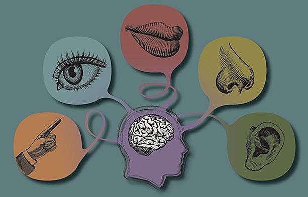 Modelo de Filtro Atenuado de Treisman.