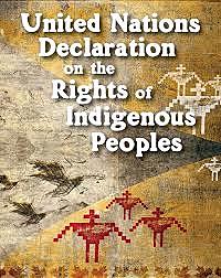 United Nations Declaration (2010)