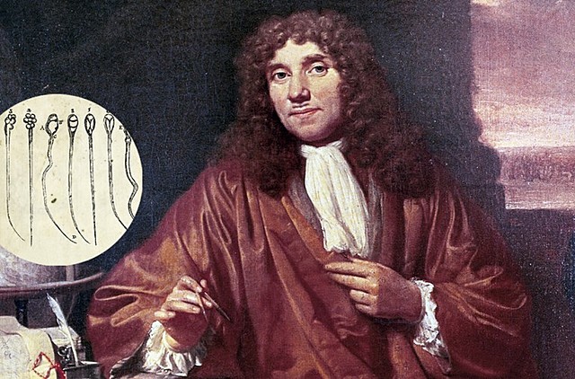 LEEWENHOEK