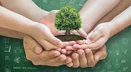 Timeline: Sucesos Ambientales y su Relevancia en la Historia de la Humanidad (Alejandra Perez)