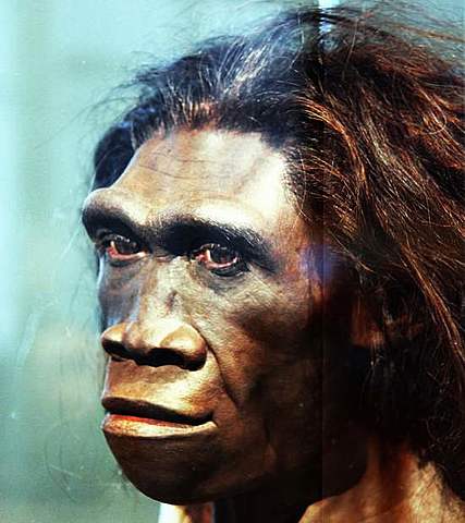 Aparicion de Homo Sapiens