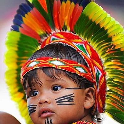 Timeline: cultura indigenas de colombia