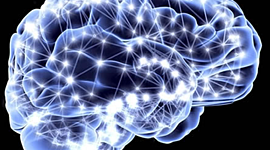 Timeline: Orígenes de la Neurociencia Cognitiva