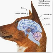 Eduard Hitzing (1838-1907)