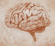 John Hughlings Jackson (1835-1911)