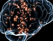 Michael S. Gazzaniga.