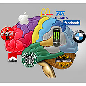 Gerencia de Marca por Categoría