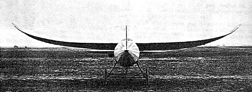 Avión aero torpille (Biomímesis)