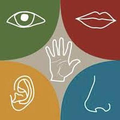 Timeline: Teorías científicas y explicativas de la personalidad