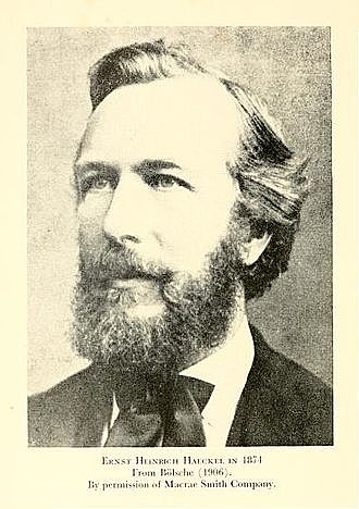 Ernst Haeckel