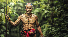 Timeline: Comunidad indígena