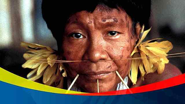 Conferencia Mundial sobre los Pueblos Indígenas (WCIP)