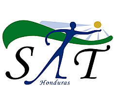 sistema de aprendizaje tutorial SAT