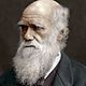 Charlesdarwin 5c2c3d7e46e0fb0001a343e3