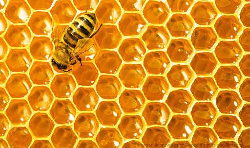 Sistema de refrigeración basado en panales (Biomímesis)