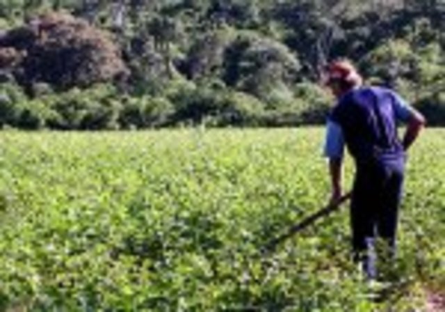 Sindicatos de profissionais da agricultura