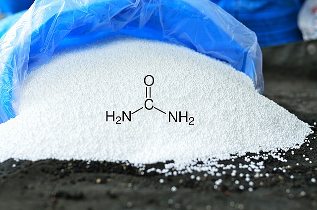 LA QUÍMICA ORGÁNICA EN 1830