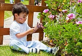 ETAPAS DE ORACIONES SIMPLES: 36-48 MESES FONOLOGÍA Y SEMÁNTICA.