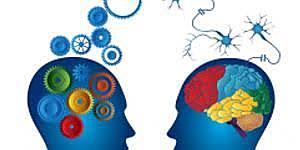 Teoría integrada de la personalidad