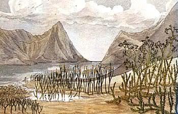 Periodo de devónico 350 m.a.- 286 m.a.