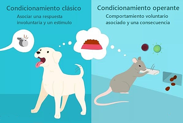 Conductismo (Clásico con I.Pavlov y J. Watson) y (operante con Skinner).