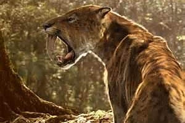 Pleistocene 1,81  m.a. - 0,01 m.a