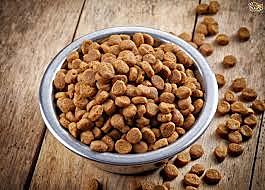 1950 - Dry Dog Food Developed