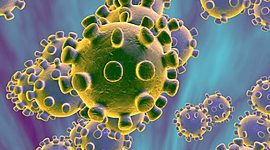 Timeline: coronavirus
