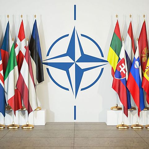 Referèndum de l'OTAN