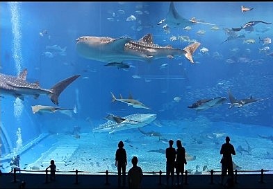 Vídeo de Alta Definición