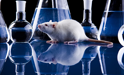 ¿Qué tienen que ver los juicios de Nuremberg con la bioética actual?