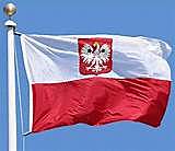 Poland defeated