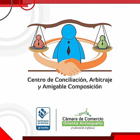 CONSTITUCIÓN DEL 91