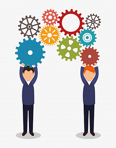 Distribución de roles y Funciones de los Integrantes del Grupo