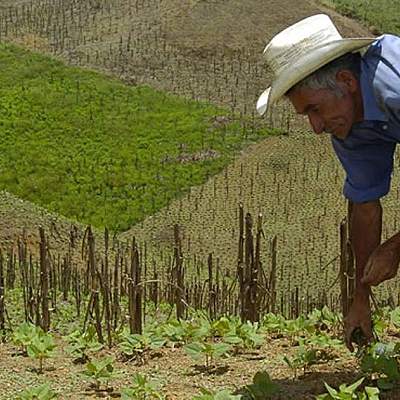 Timeline: Reforma Agraria en Honduras