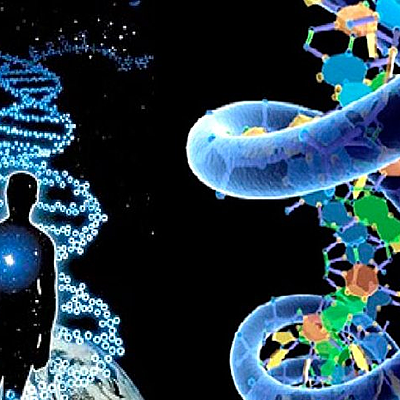 Timeline: Historia de la Genética