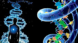 Timeline: Historia de la Genética