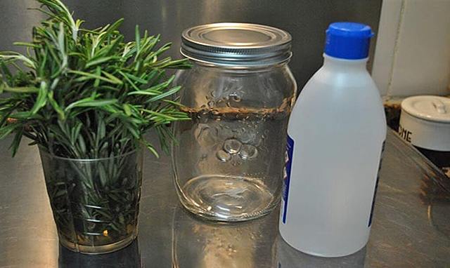 COMO PRINCIPIOS CURATIVOS