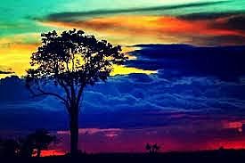 Título 6 - De la rama legislativa